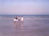 muscat07.jpg