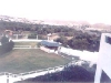 muscat18.jpg