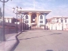 muscat19.jpg