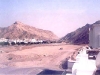 muscat22.jpg