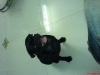 DSC00058.JPG