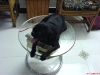 DSC00059.JPG