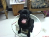 DSC00061.JPG