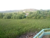 DSC00194.JPG