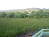 DSC00198.JPG