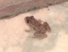 DSC00211.JPG