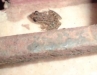 DSC00212.JPG
